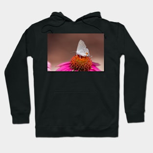 Gray Hairstreak Butterfly on Wild Berry Coneflower Hoodie